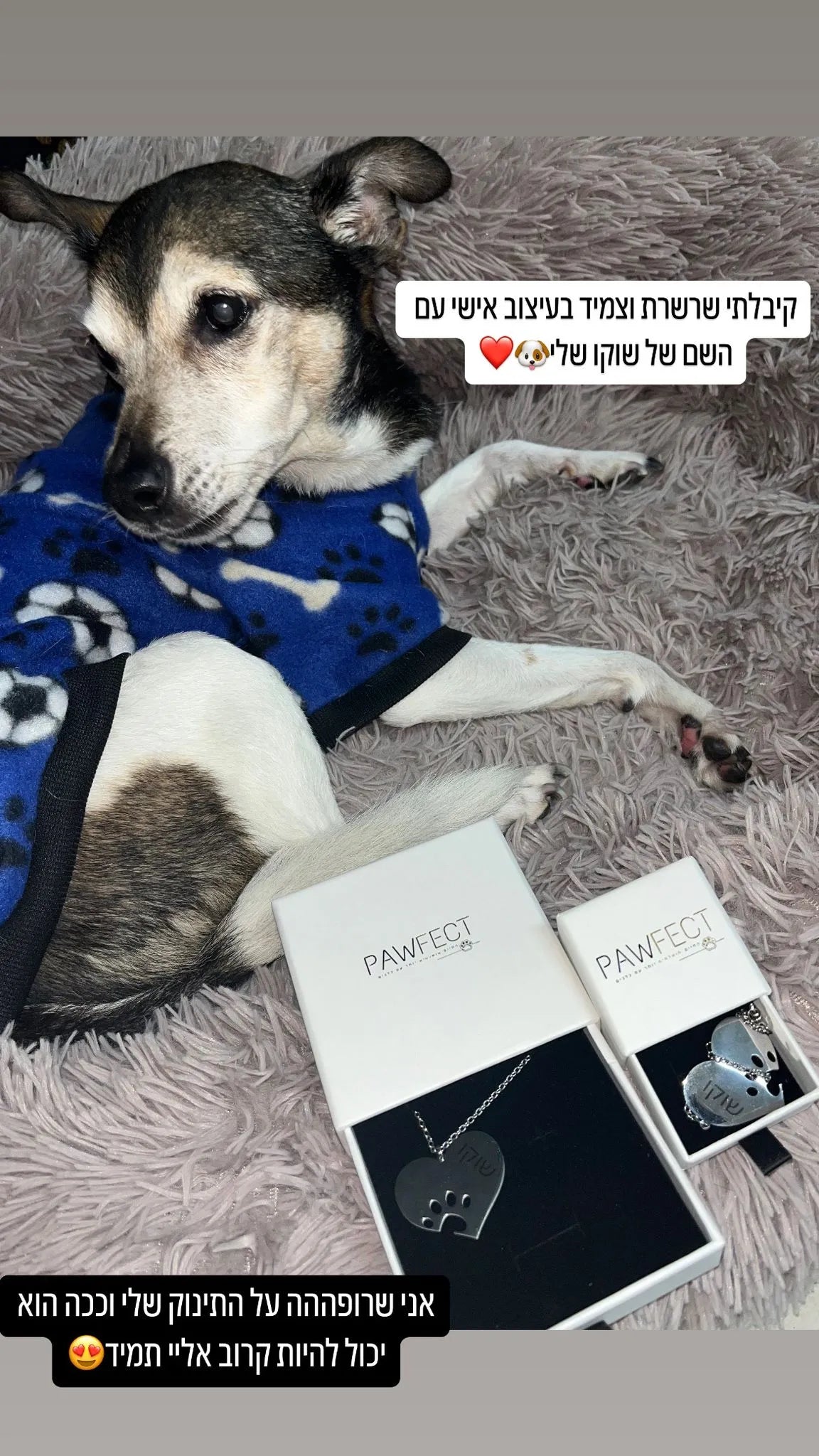 שרשרת Pawfect Dog